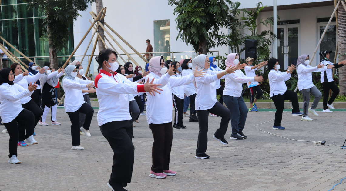 Kerjasama dan Humas